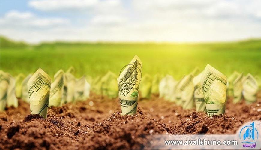 مزایا و معایب خرید زمین در شمال و سرمایه‌گذاری روی آن