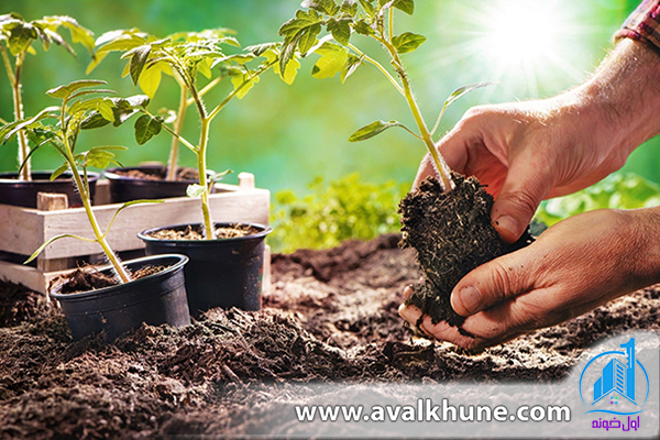ترفندهای باغبانی در منزل 