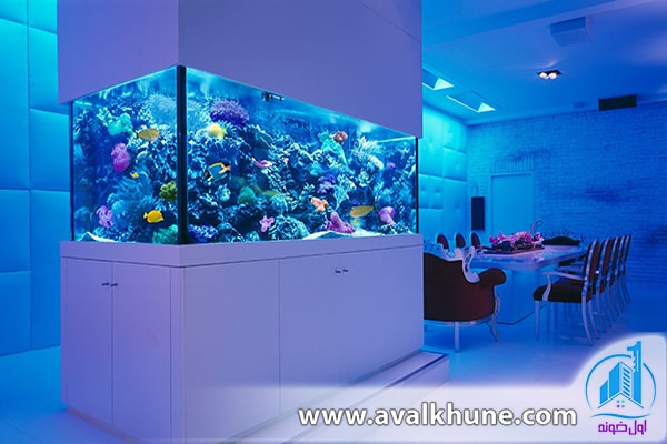 نکات مهم در خرید آکواریوم‌های خانگی 