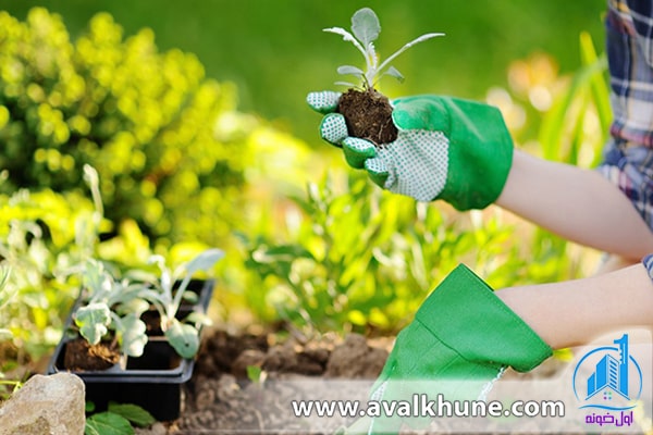 ترفندهای باغبانی در منزل 