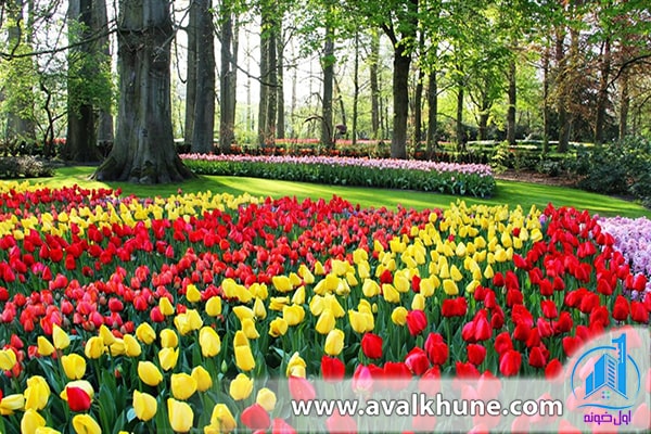گلکاری باغچه برای عید ۱۴۰۰ 