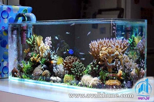 تهیه چک لیست برای خرید آکواریوم خانگی