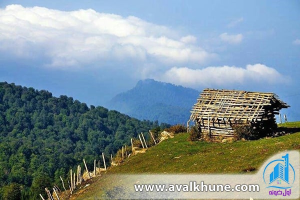 طبیعت مازیچال در مازندران 