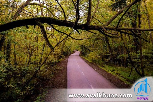 مسیرهای دسترسی به شهر نور 