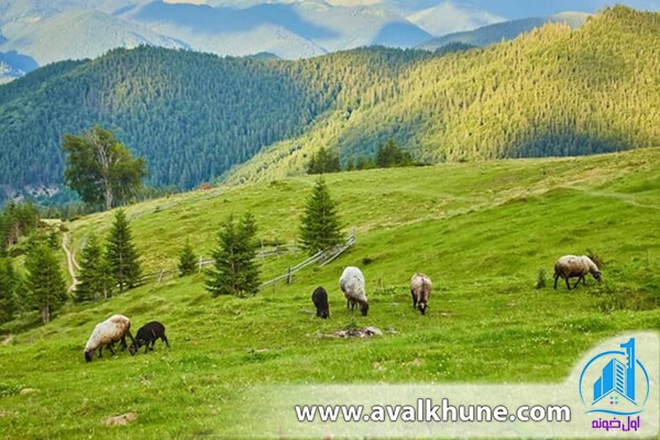 منطقه توریستی واز چمستان 