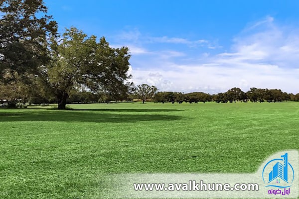  نکات مهم برای خرید زمین در محمودآباد 