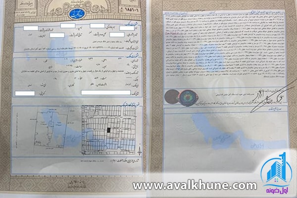 اهمیت سند تک برگ 
