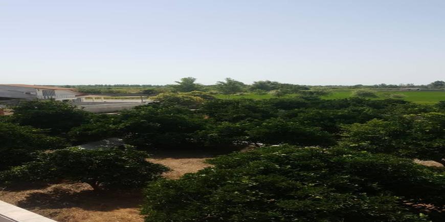 ویلا دوبلکس سنگ نما-8581