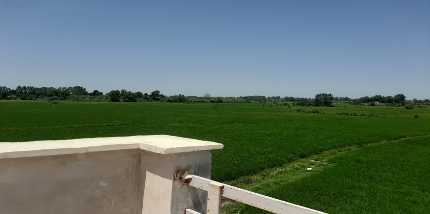 خرید ویلا جنگلی در محمودآباد-9236