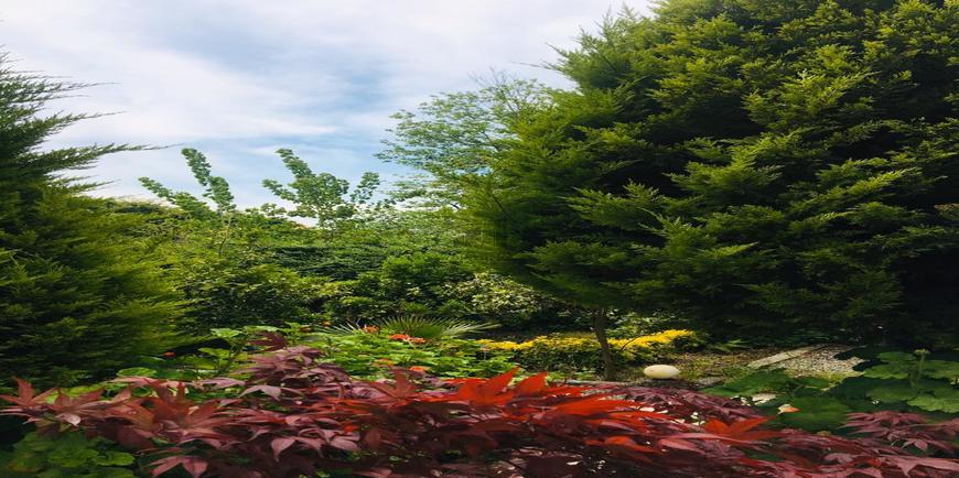 باغ ویلای ساحلی در سرخرود-12043