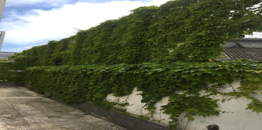 باغ ویلای ساحلی در سرخرود-12044