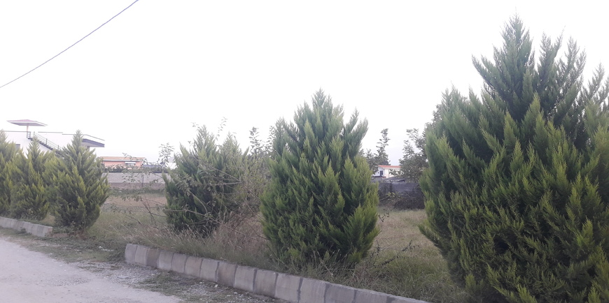 زمین شهرکی منطقه جنگلی ونوش-12895