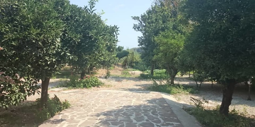 خرید باغ ویلا جنگلی در کلار آباد-17394