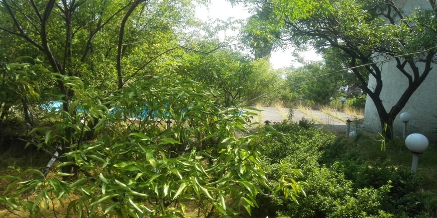 ز با دو بنای قدیمی-17568