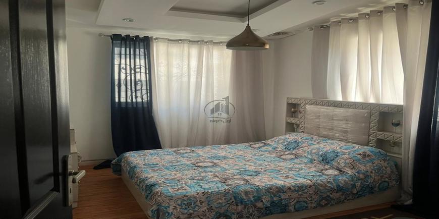 ویلا باغ نما مدرن سند با تک برگ-26405
