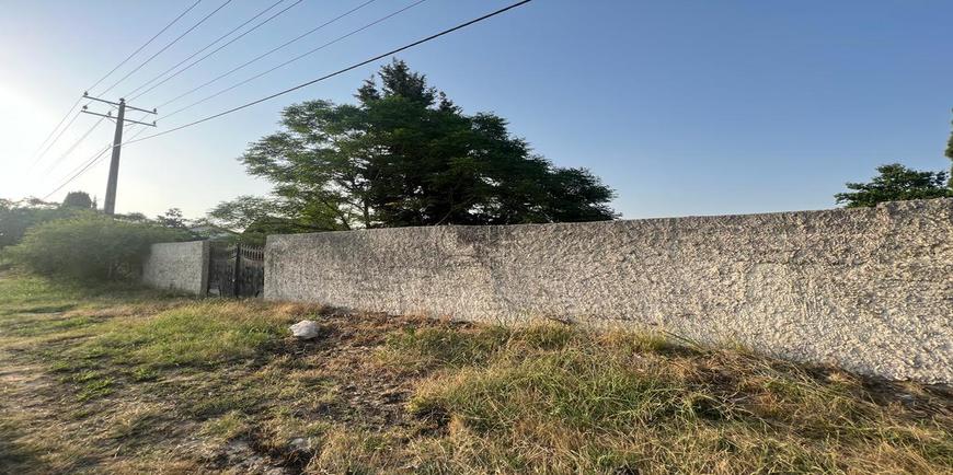 خرید زمین ساحلی در مزگاه نوشهر-28785