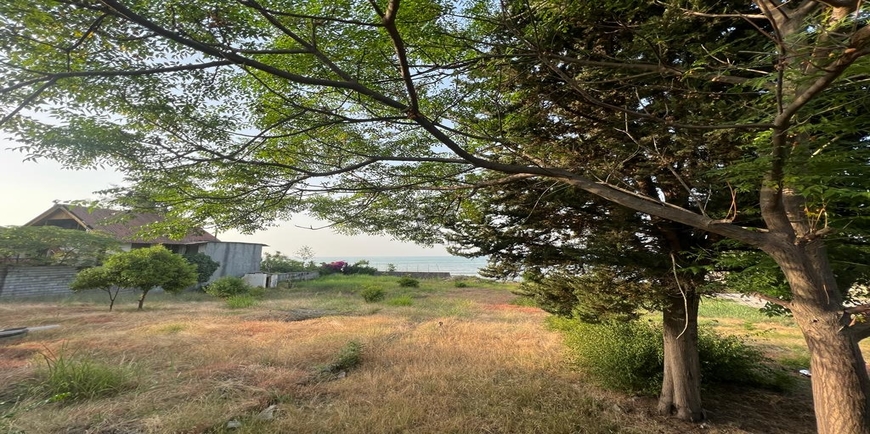خرید زمین ساحلی در مزگاه نوشهر