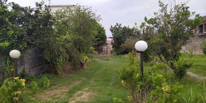 باغ مرکبات با یک بنای دوبلکس نیمه کاره-30219