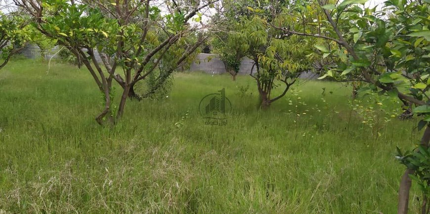 باغ مرکبات با یک بنای دوبلکس نیمه کاره-30218
