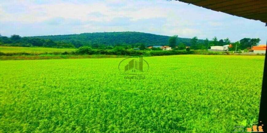 خرید زمین هکتاری ارزان قیمت
