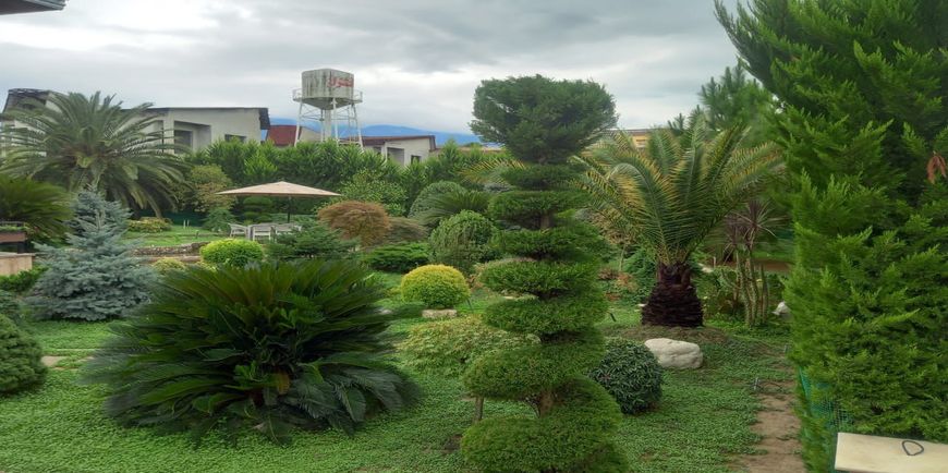 خرید ویلا باغ در نوشهر-33050