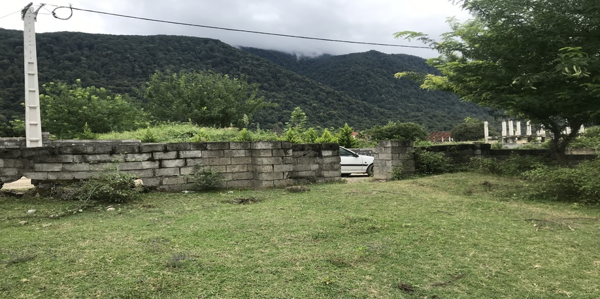 خرید زمین کنار جنگل