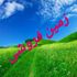 خرید زمین متراژ بالا قابل تفکیک