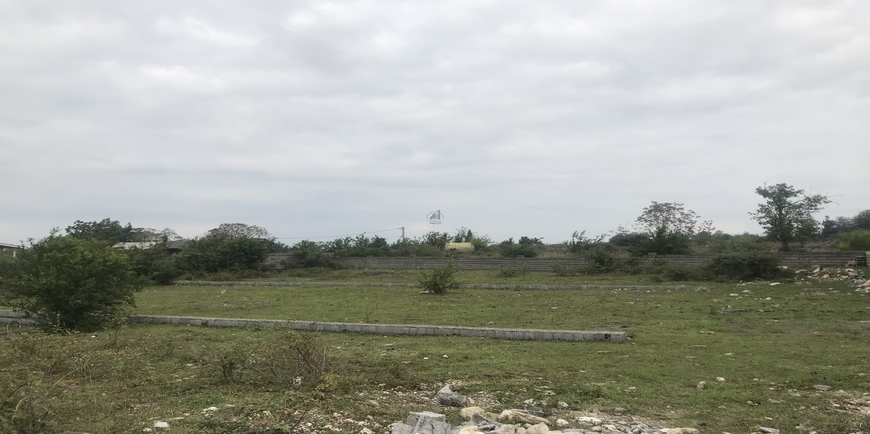 زمین کنار جنگل در نخ شمال-2872