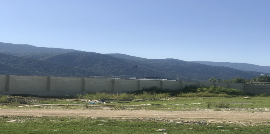 زمین با دید جنگل