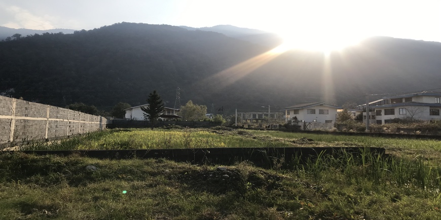 فروش زمین در دل جنگل